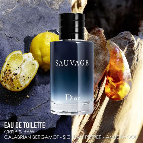 edue de toilette zerstäuber dior sauvage|sauvage eau de toilette.